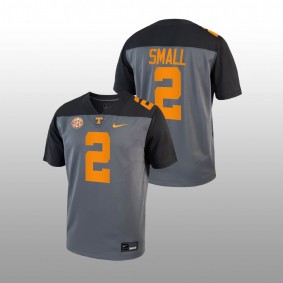 Tennessee Volunteers #2 Jabari Small Smokey Grey Series Youth Grey Jersey 2022 Alternate