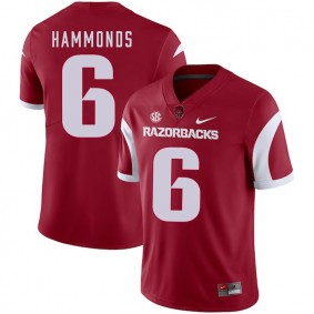 Arkansas Razorbacks Football #6 Cardinal College T.J. Hammonds 2018 Game Jersey