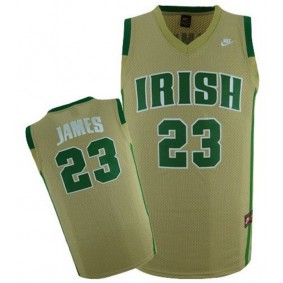 Male LeBron James #23 Notre Dame Fighting Irish Yellow NCAA High-School Basketball NBA Player Jersey