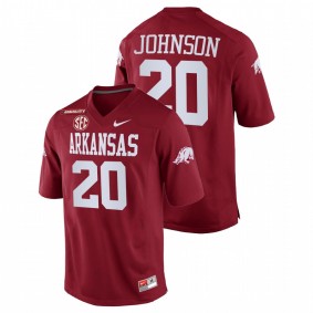 Dominique Johnson Arkansas Razorbacks 2021-22 Cardinal College Football Equality Jersey