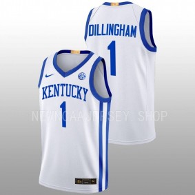 Kentucky Wildcats Rob Dillingham White Home 2023 Classc Men Jersey