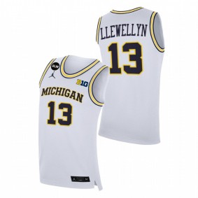 Jaelin Llewellyn #13 White Michigan Wolverines 2022-23 College Basketball Jersey