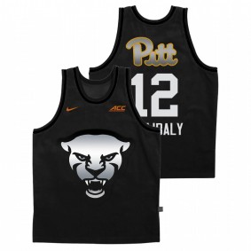 Abdoul Karim Coulibaly Pitt Panthers 2020-21 Gray Steel City Panther Face Jersey