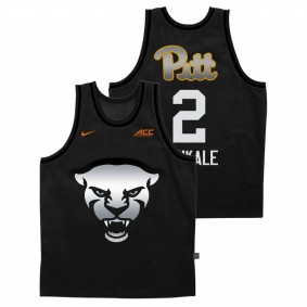 Femi Odukale Pitt Panthers 2020-21 Gray Steel City Panther Face Jersey