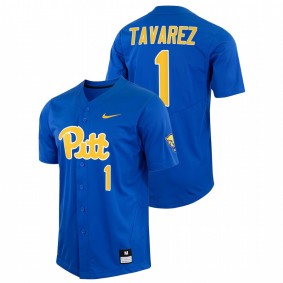 Tommy Tavarez Pitt Panthers #1 College Baseball Men Royal Jersey Replica