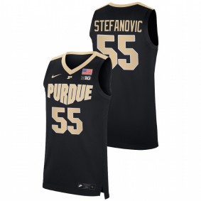 Purdue Boilermakers Sasha Stefanovic 2021-22 Black College Basketball Replica Men Jersey