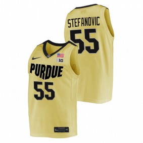 Sasha Stefanovic #55 Gold Purdue Boilermakers 2021-22 Top overall seed College Basketball Jersey