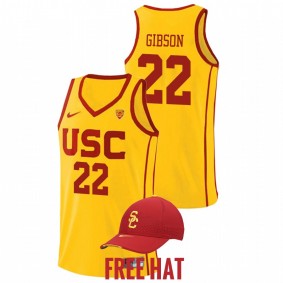 Taj Gibson #22 Yellow USC Trojans NBA Alumni College Basketball Jersey