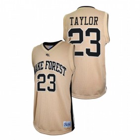 Wake Forest Demon Deacons Lucas Taylor Gold Retro Basketball Men Jersey