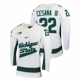 Dennis Cesana Michigan State Spartans College Hockey White Jersey #22