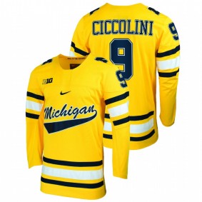 Brendan Morrison Michigan Wolverines Maize Alumni College Hockey Jersey