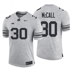 Ohio State Buckeyes #30 Demario McCall Heather Gray NCAA Football Big Ten Team Jersey Gridiron Gray II Limited Jersey